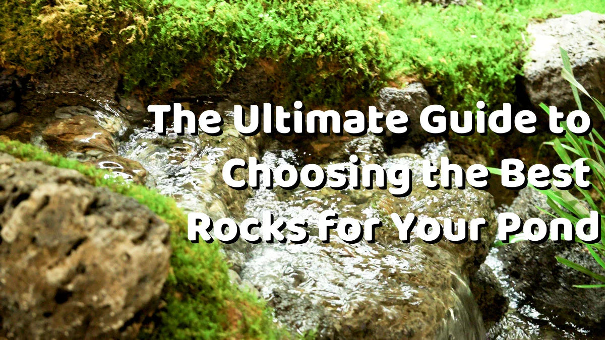 The Ultimate Guide to Choosing the Best Rocks for Your Pond