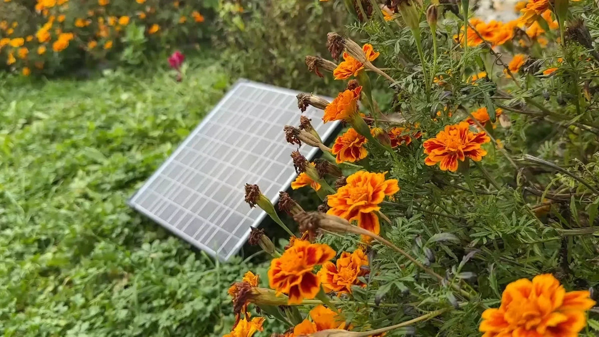 Häufige Fehler und Lösungen bei Solarwasserpumpen