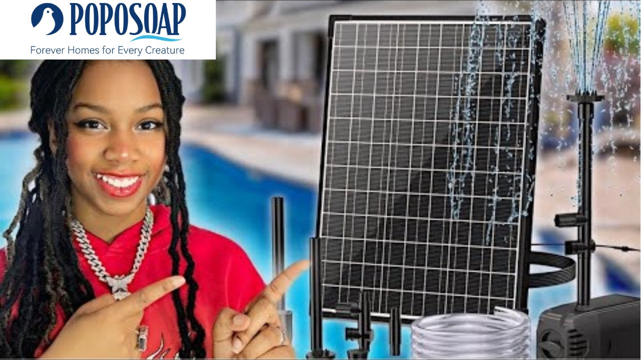 Transform Your Garden with the POPOSOAP Solar Water Fountain