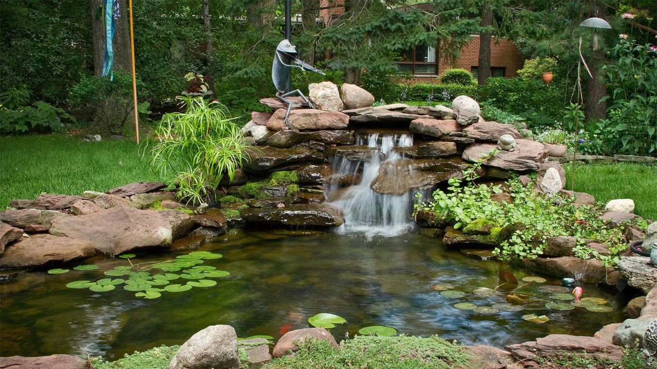 Create a Backyard Oasis with a Waterfall Pond