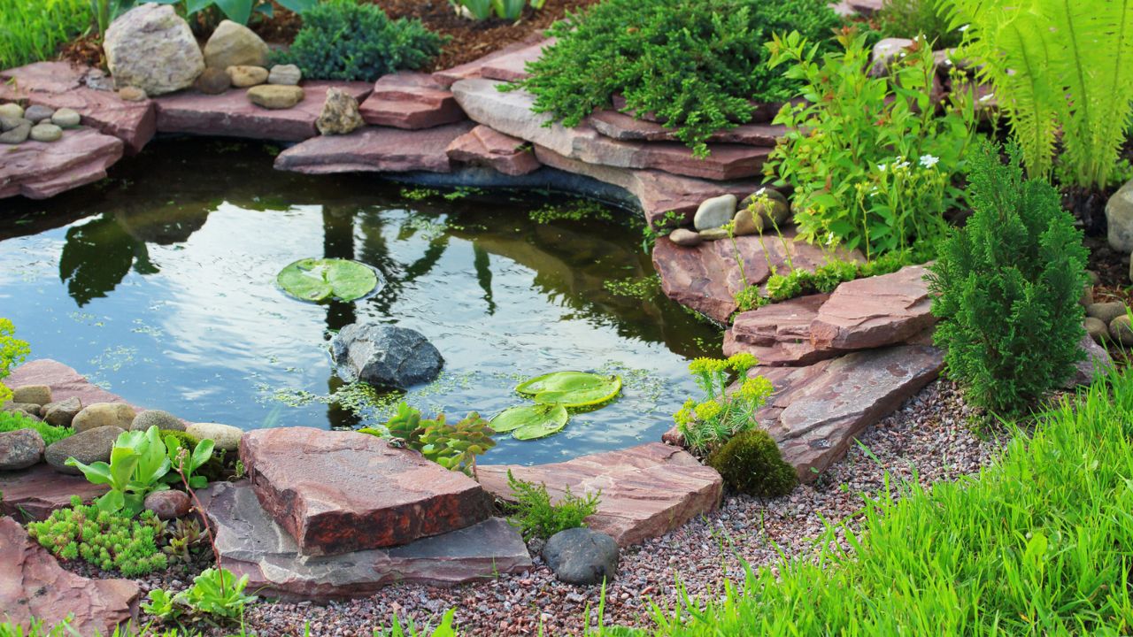 Transform Your Front Yard with a Beautiful Pond – Simple Tips to Start