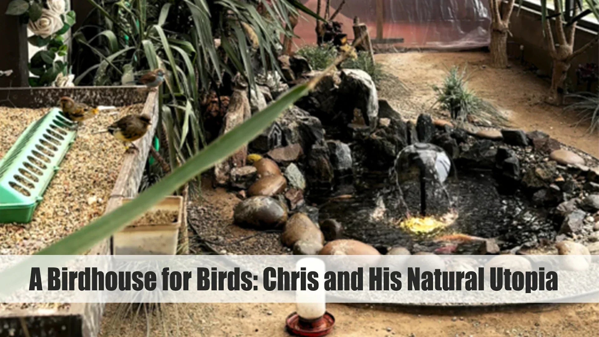 a birdhouse for birds chris and his natural utopia