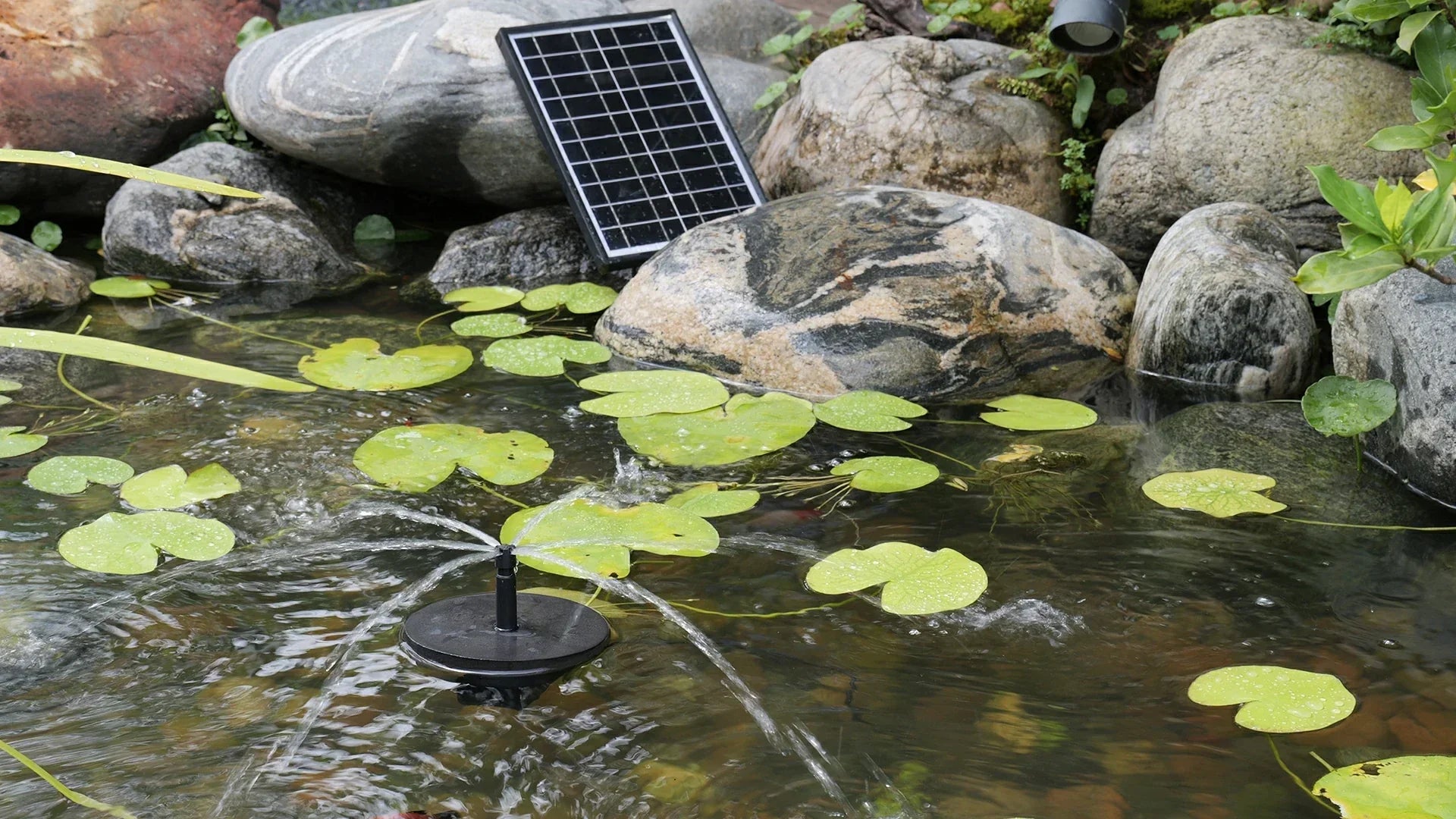 best solar pump for small pond