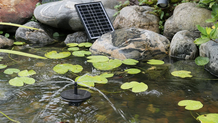 Les pompes solaires pour bassins sont-elles vraiment efficaces ? (Guide expert pour les propriétaires de bassins)