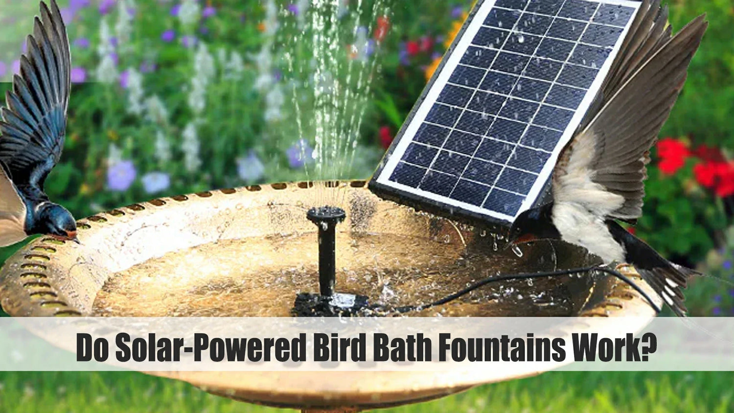 do solar powered bird baths work