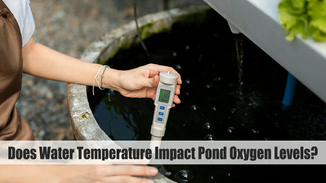 does water temperature impact pond oxygen levels