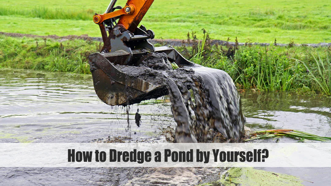 dredge a pond