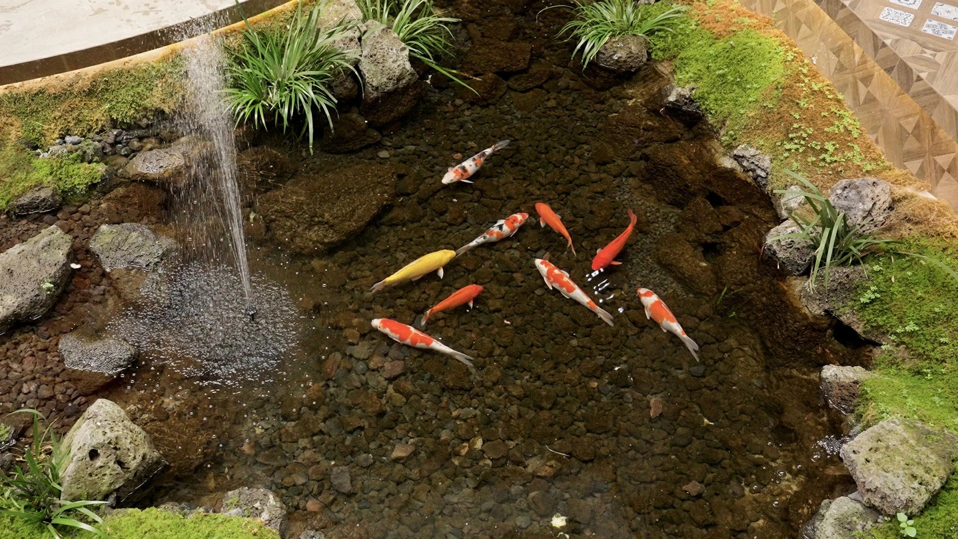 how often to clean fountains filter