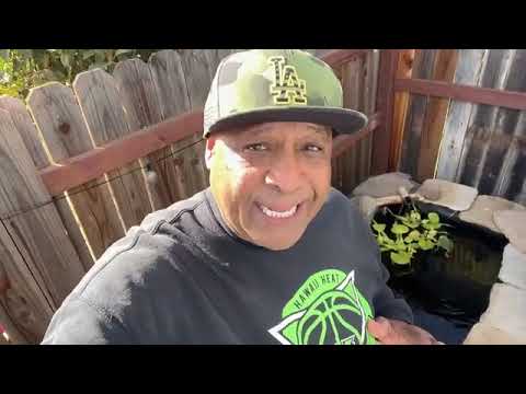 Enhancing Small Ponds with PopoSoap Waterfall Box Kits and Bio-Filtration