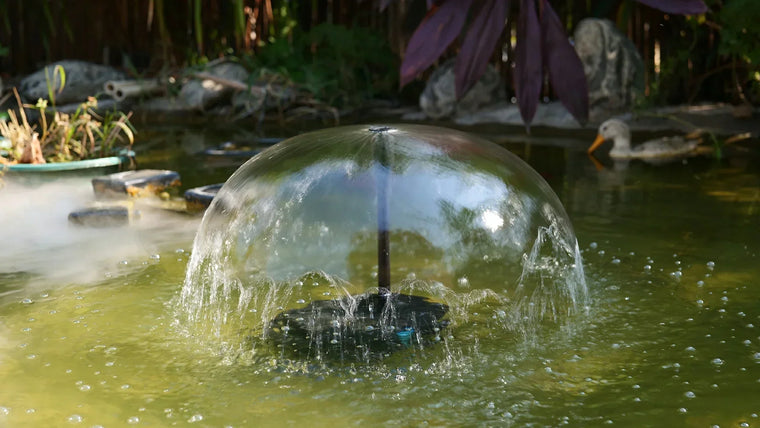 Comment choisir le filtre de bassin adapté à votre espace
