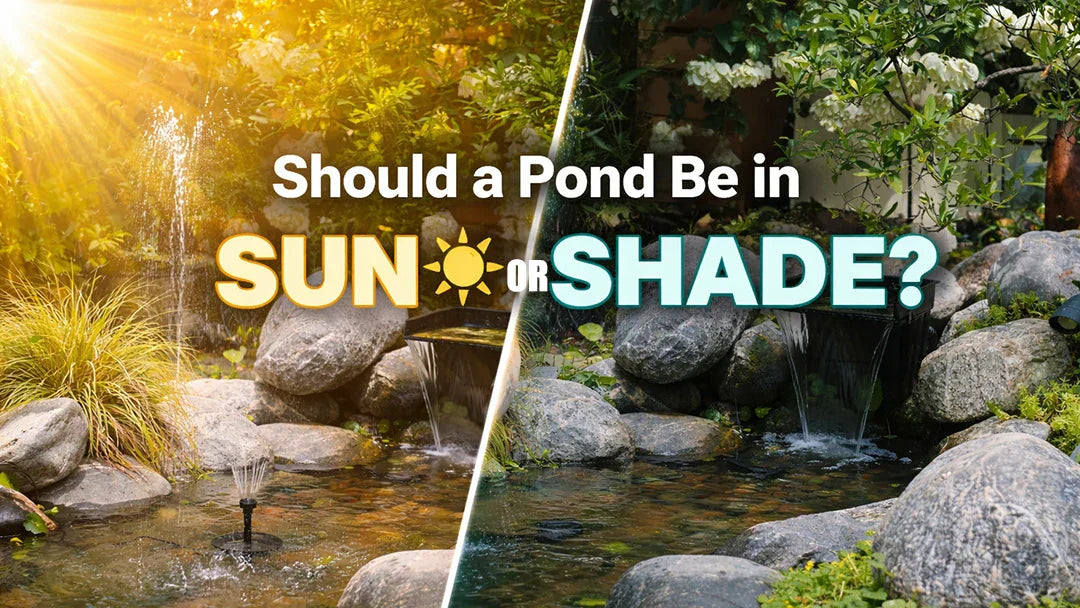 shade for ponds