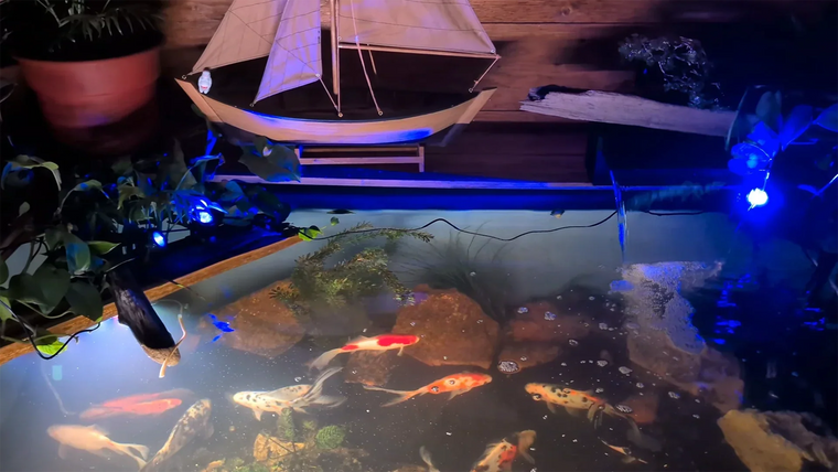 Test de la lampe pour bassin Poposoap : options étanches, réglables et solaires