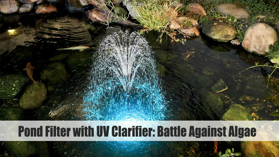 will uv light kill algae