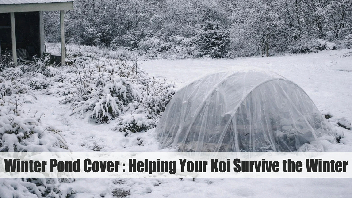 winter pond cover ideas