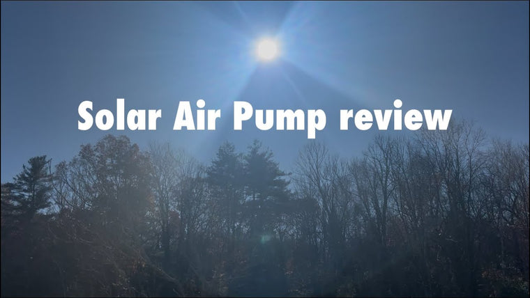 Test de l'aérateur solaire pour bassin : l'expérience de Ke Koi Haven