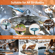 Fontaine chauffante pour bain d'oiseaux 70 W AC 