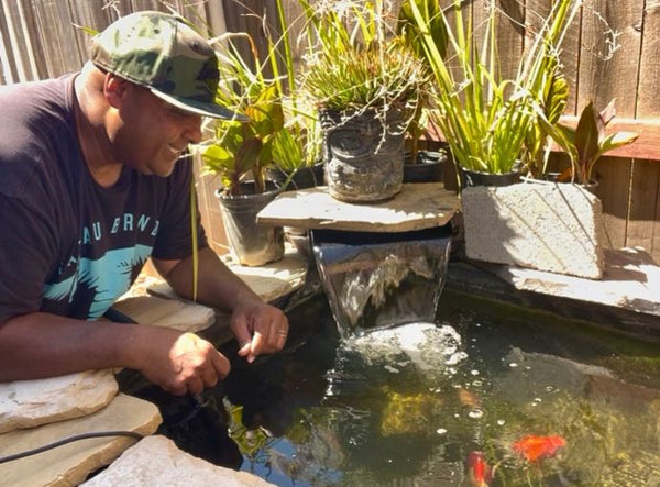 - Ha YN Aquariophile -