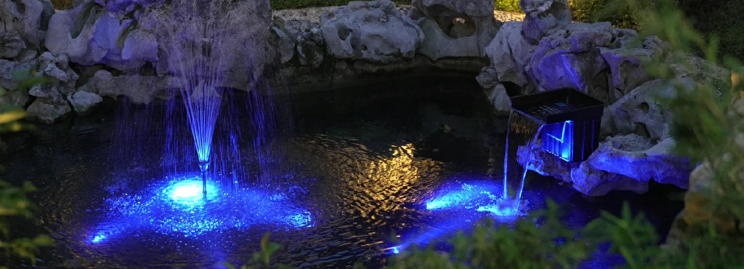 Pond Lights