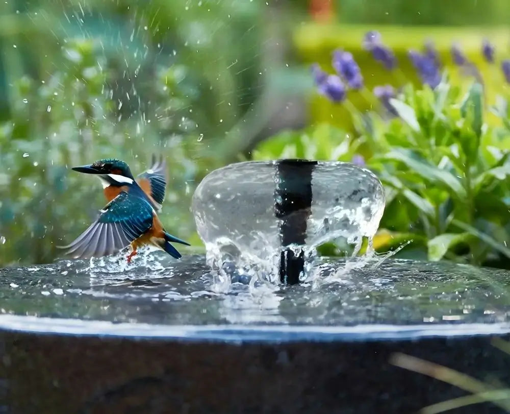 Bird Bath Fountains