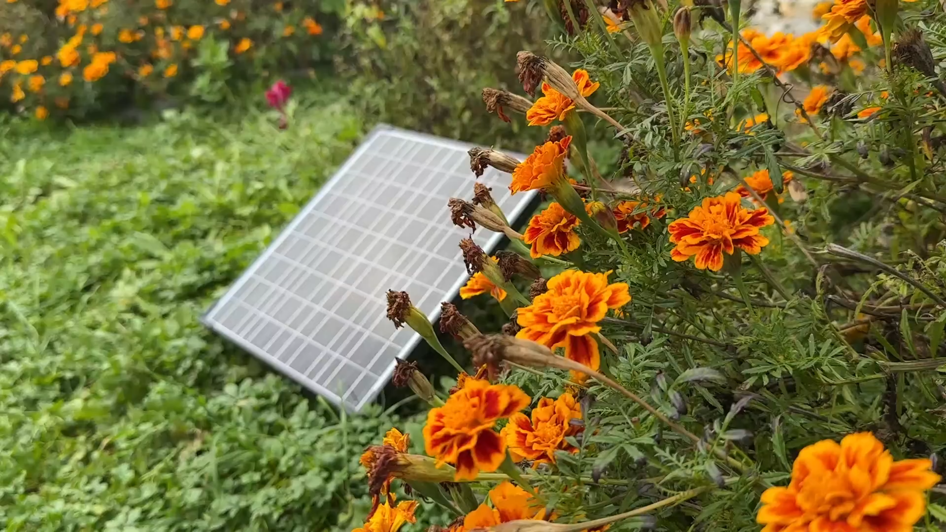 Solar Water Pump Common Faults and Solutions