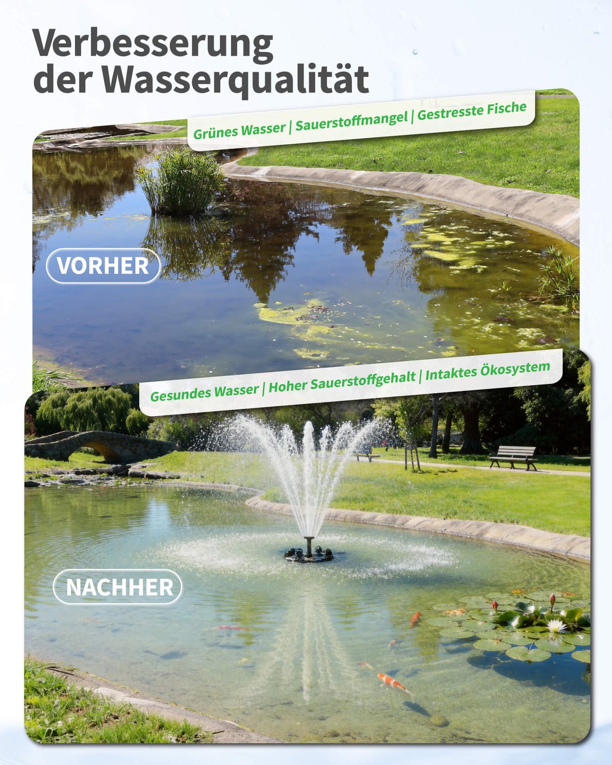 Fontaine de bassin flottante & aération 6000 l/h, kit complet