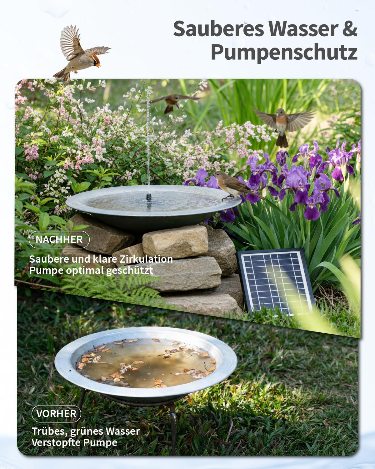 Filtre de bassin solaire 4W avec fontaine