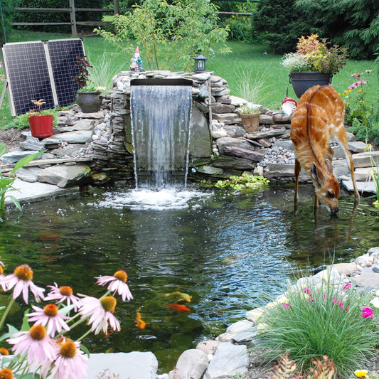 Panneau solaire 70 W 40 W 580 GPH 12" x 4,3" Kit cascade en métal 