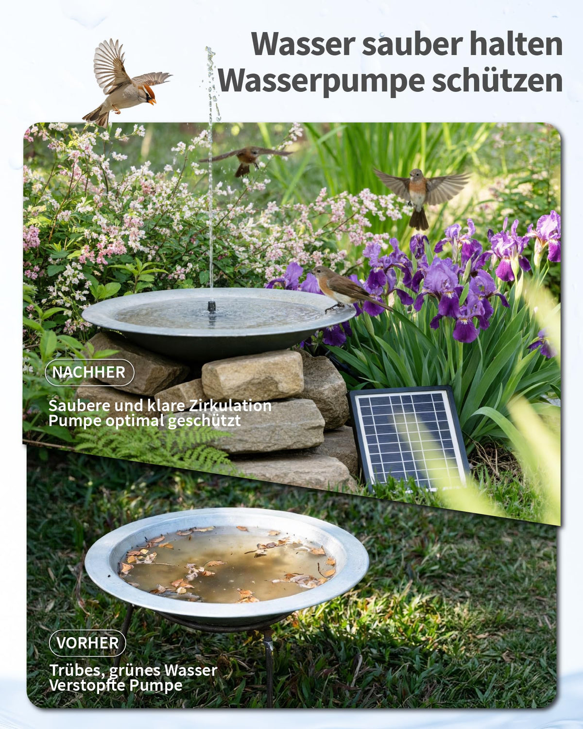 Fontaine solaire 6,5 W avec filtre de bassin et batterie