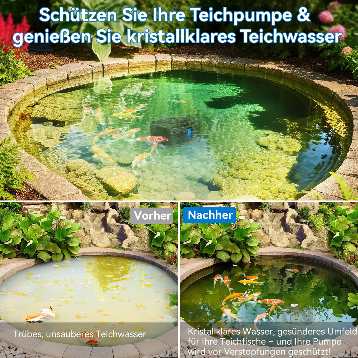 Boîtier de filtre de bassin pour petits bassins extérieurs, protection de pompe