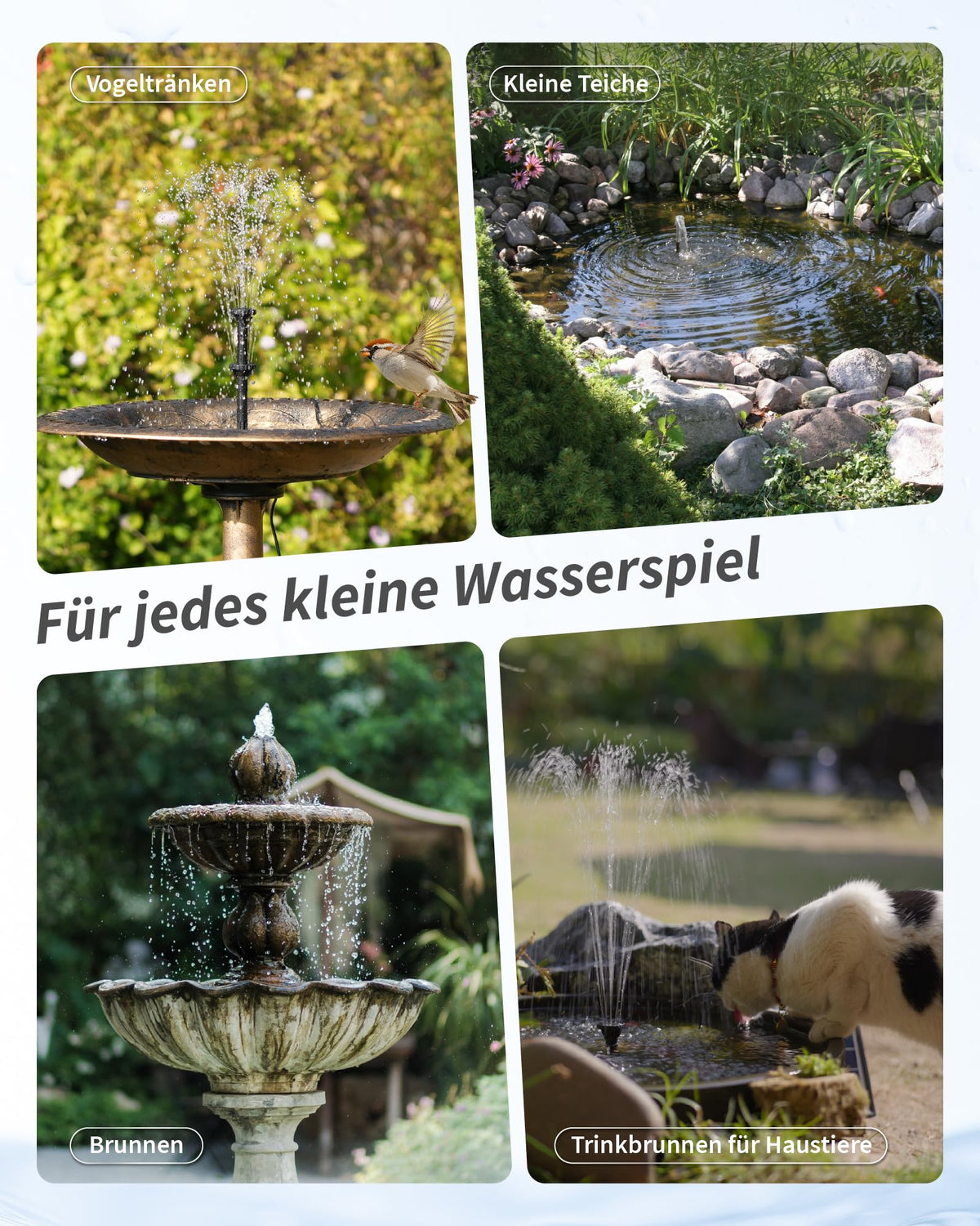 Fontaine solaire 6,5 W avec filtre de bassin et batterie