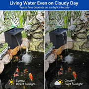 Panneau solaire 55 W 40 W 580 GPH 8